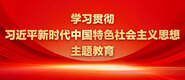 大鸡巴插嫩穴嗷嗷叫喷水学习贯彻习近平新时代中国特色社会主义思想主题教育_fororder_ad-371X160(2)